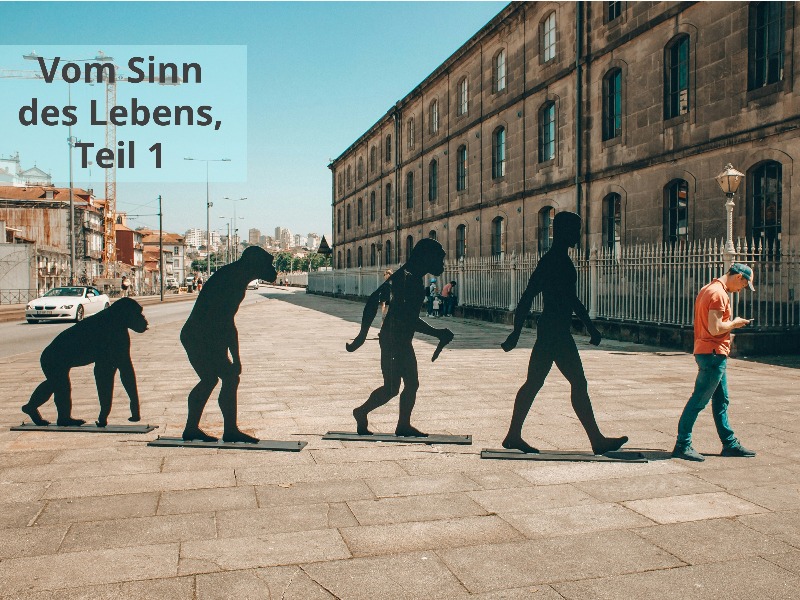 Entwicklung des Menschen