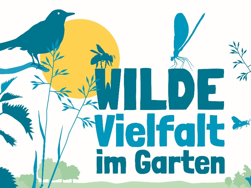 Veranstaltungen Botanischer Garten