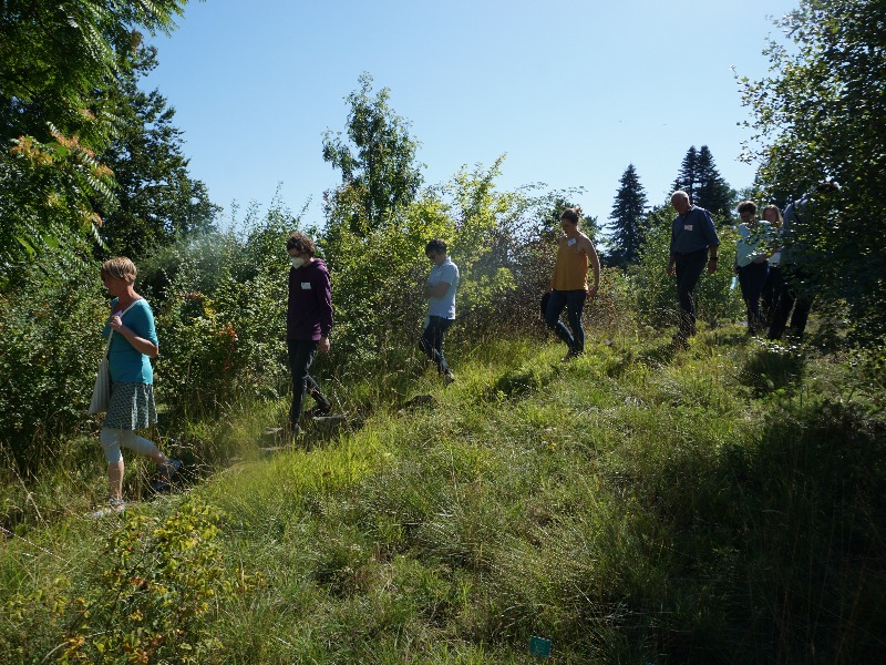 Bild Botanischer Garten