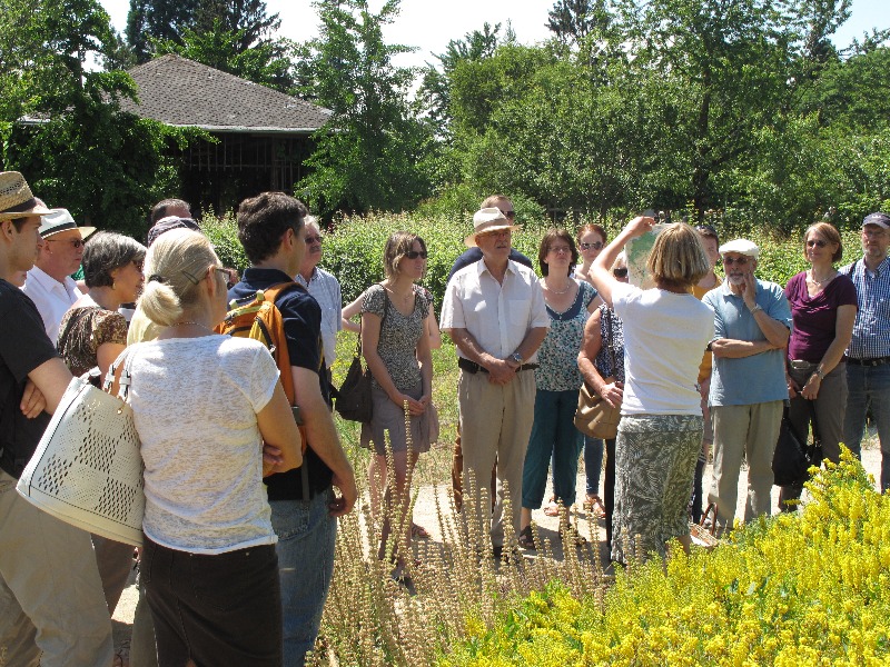 Botanischer Garten