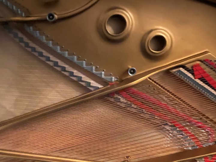 Les salons en musique