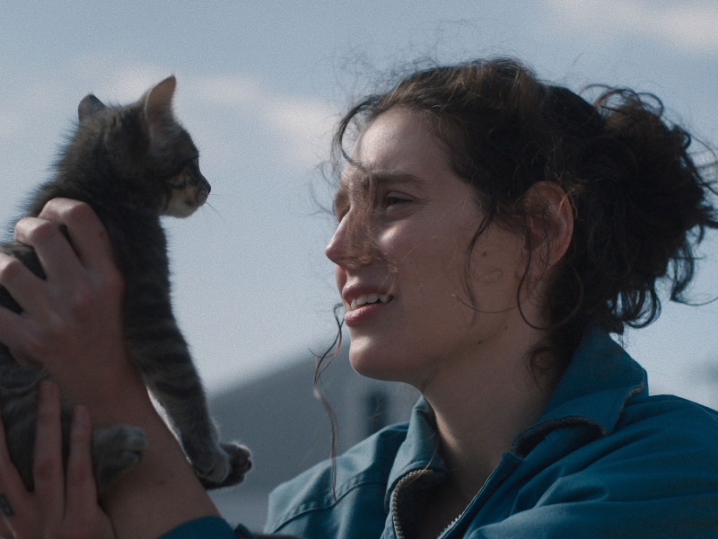 Eine Frau blickt fragend auf eine junge Katze, die sie in Händen hält.